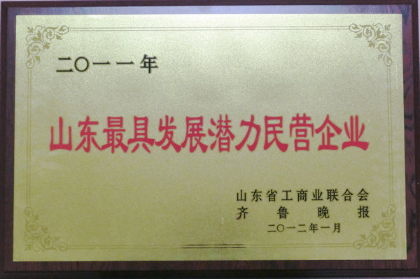 聯(lián)橋集團(tuán)獲評(píng)山東最具發(fā)展?jié)摿γ駹I企業(yè)